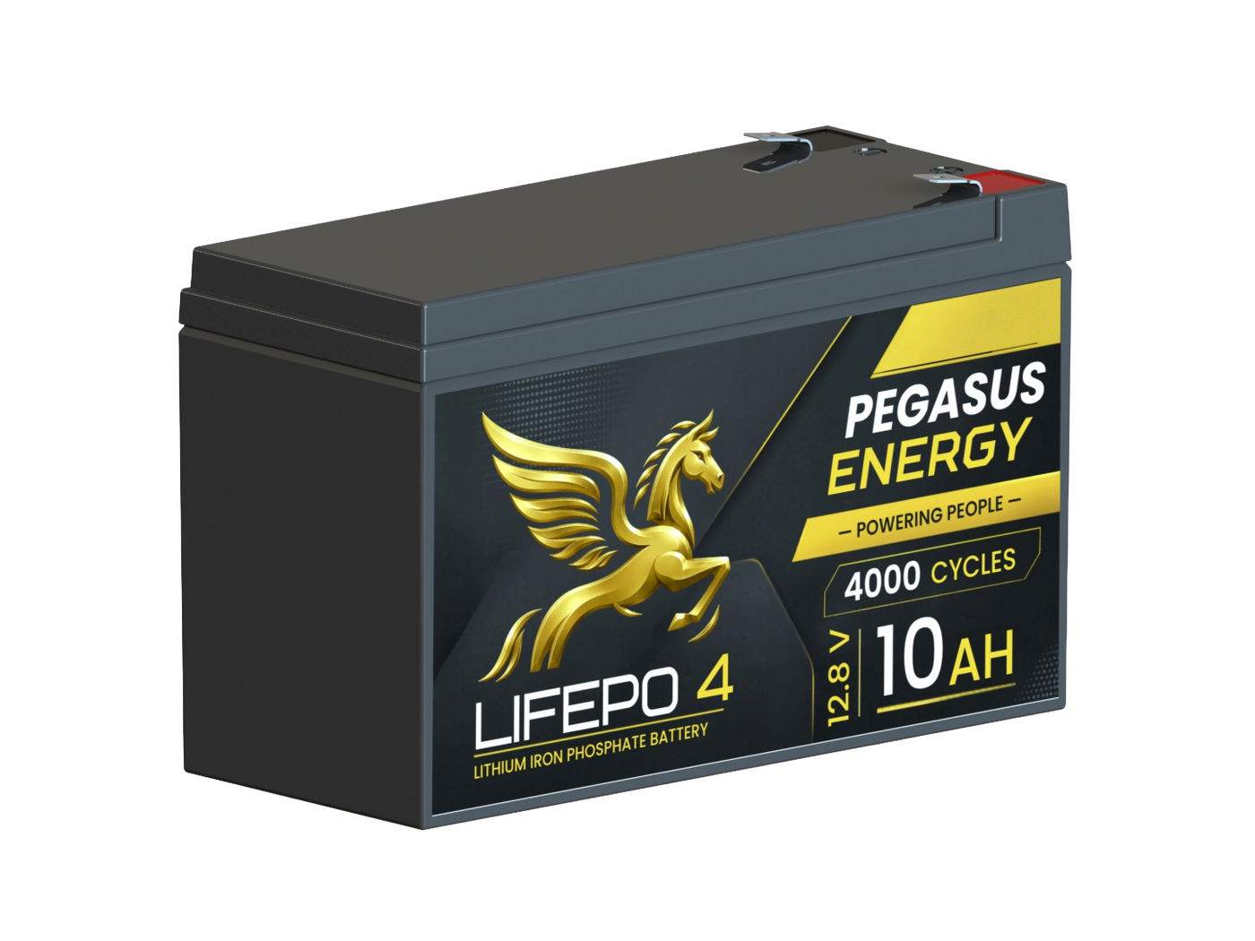 Pegasus Energy 12.8V 10Ah LiFePO4 Deep Cycle Battery