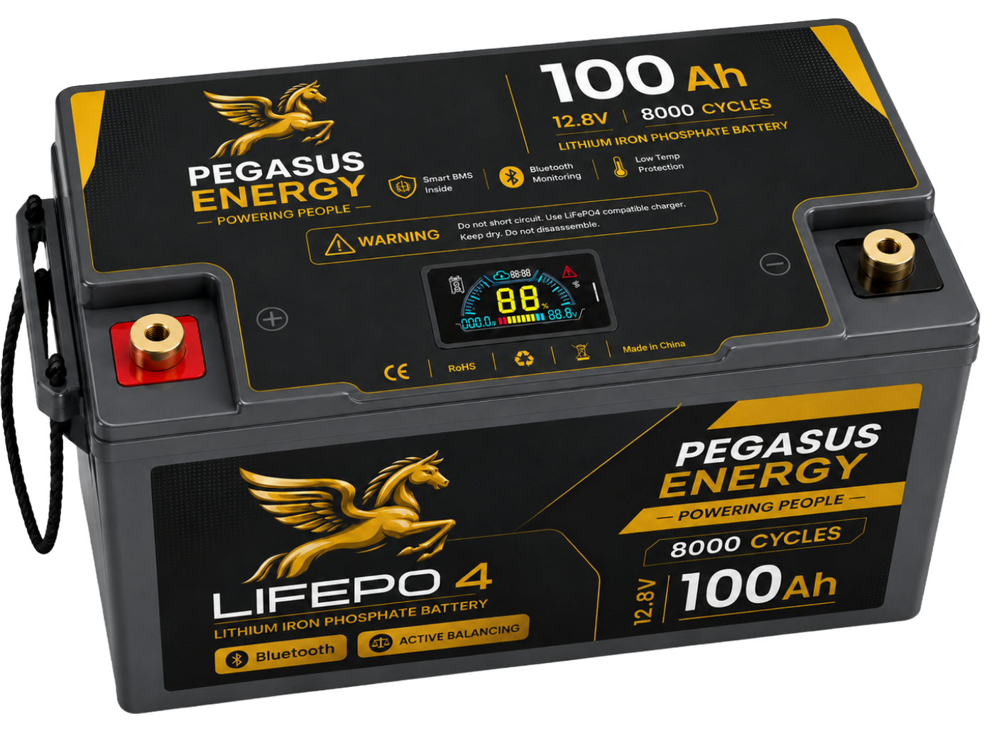 Pegasus Energy 12.8V 100Ah LiFePO4 Deep Cycle Battery