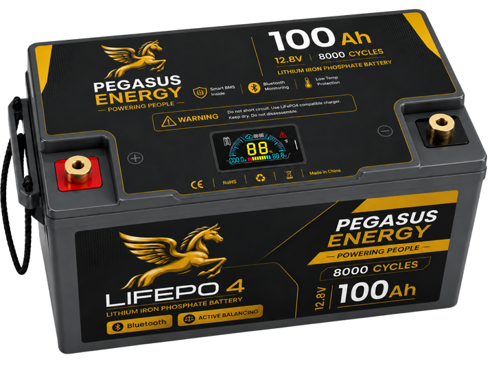 Pegasus Energy 12.8V 100Ah LiFePO4 Deep Cycle Battery